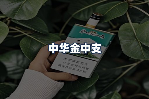 中华金中支